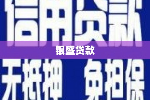 兴宾银盛贷款