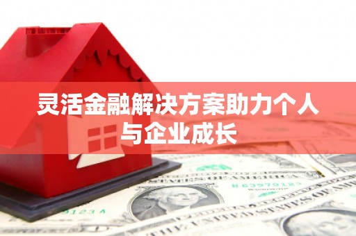 沙鹿灵活金融解决方案助力个人与企业成长