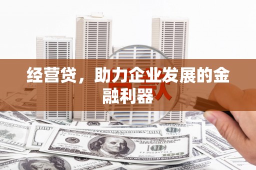 威宁经营贷，助力企业发展的金融利器