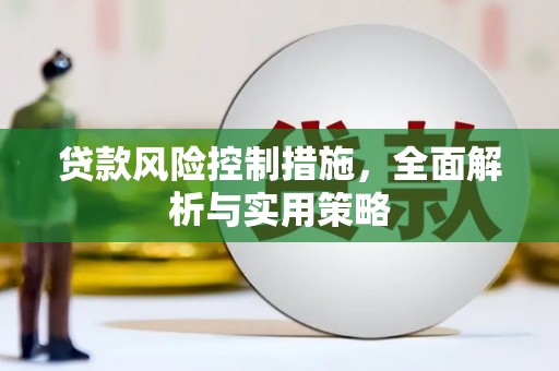 平湖贷款风险控制措施，全面解析与实用策略