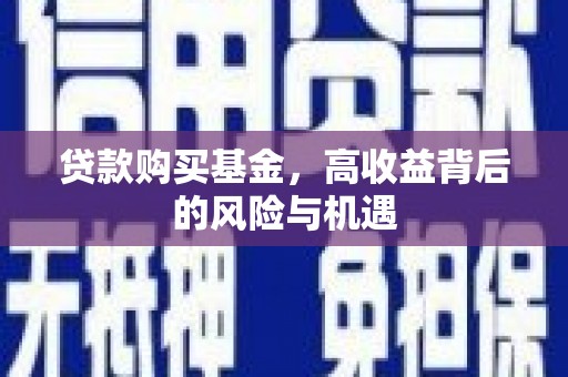 驻马店贷款购买基金，高收益背后的风险与机遇