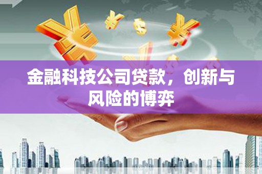 达孜金融科技公司贷款，创新与风险的博弈