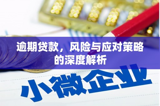宁波逾期贷款，风险与应对策略的深度解析