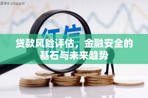 鹤庆贷款风险评估，金融安全的基石与未来趋势