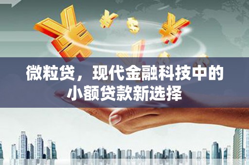 右玉微粒贷，现代金融科技中的小额贷款新选择