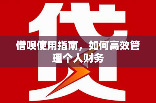 达日借呗使用指南，如何高效管理个人财务