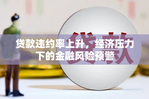 定兴贷款违约率上升，经济压力下的金融风险预警