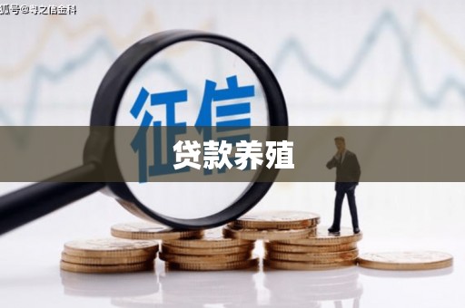 马山贷款养殖