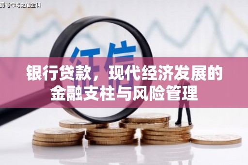 雁江银行贷款，现代经济发展的金融支柱与风险管理