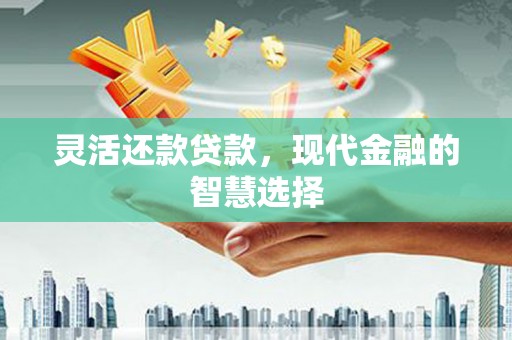 新园灵活还款贷款，现代金融的智慧选择