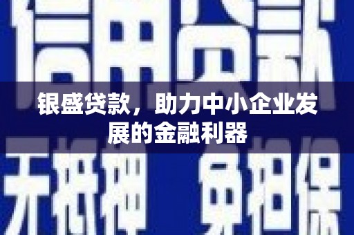 资源银盛贷款，助力中小企业发展的金融利器