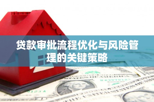 岢岚贷款审批流程优化与风险管理的关键策略