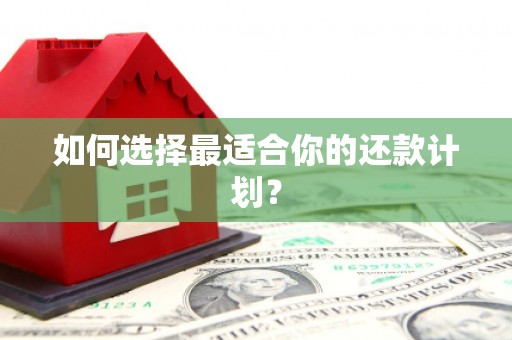 阿克塞如何选择最适合你的还款计划？