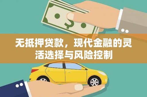 洋县无抵押贷款，现代金融的灵活选择与风险控制