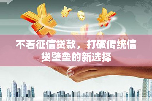 金华不看征信贷款，打破传统信贷壁垒的新选择