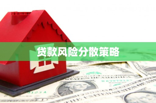 琼山贷款风险分散策略