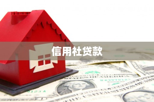 志丹信用社贷款