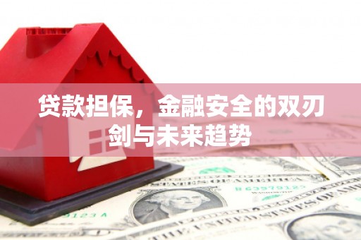 碑林贷款担保，金融安全的双刃剑与未来趋势