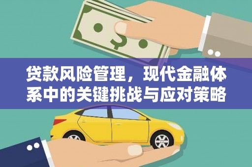 深坑贷款风险管理，现代金融体系中的关键挑战与应对策略