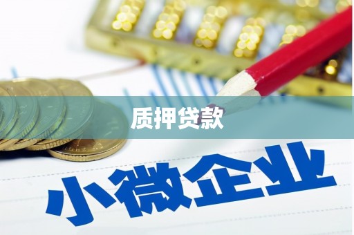 永年质押贷款