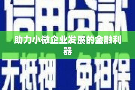 中方助力小微企业发展的金融利器