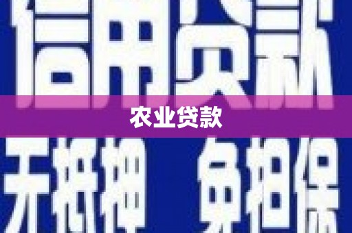 松山农业贷款