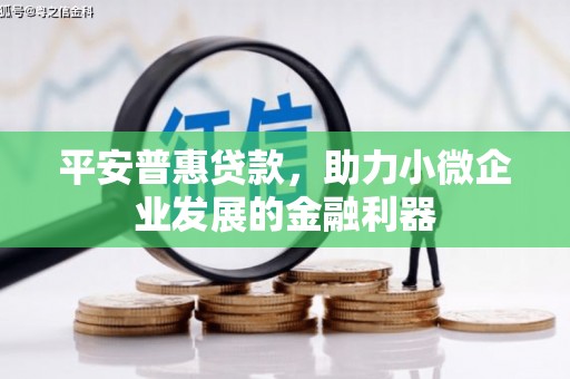 乌什平安普惠贷款，助力小微企业发展的金融利器