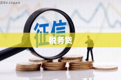 学甲税务贷