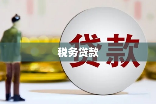 盘龙税务贷款