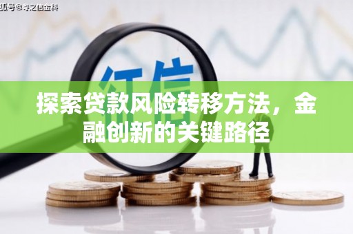 海南探索贷款风险转移方法，金融创新的关键路径
