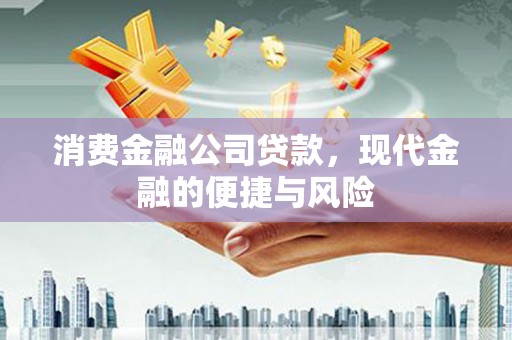 阜城消费金融公司贷款，现代金融的便捷与风险