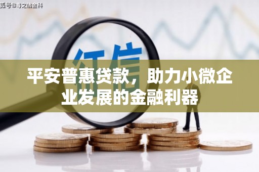 鹤庆平安普惠贷款，助力小微企业发展的金融利器