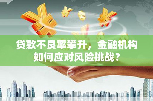 丰城贷款不良率攀升，金融机构如何应对风险挑战？
