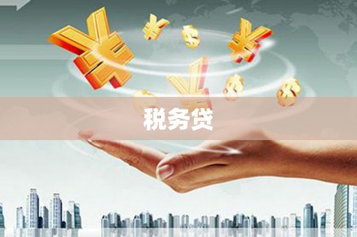 措美税务贷