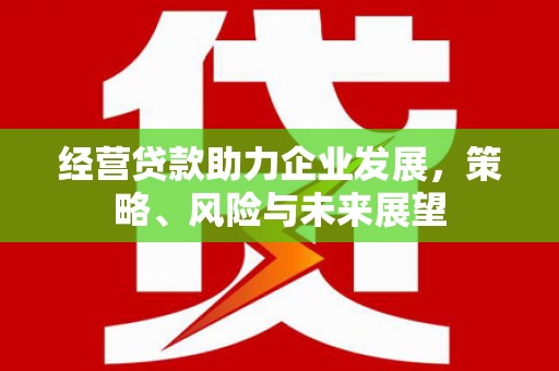 平南经营贷款助力企业发展，策略、风险与未来展望