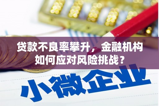 禅城贷款不良率攀升，金融机构如何应对风险挑战？
