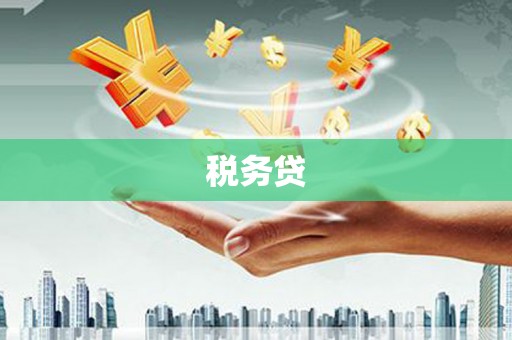 册亨税务贷