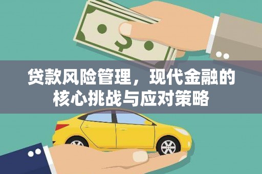 阳谷贷款风险管理，现代金融的核心挑战与应对策略