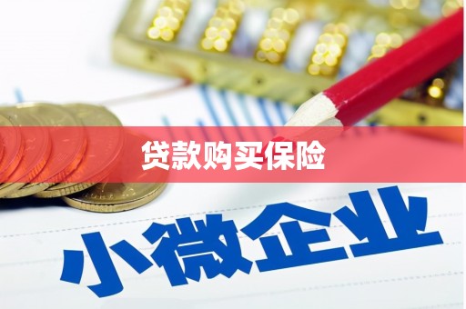 永福贷款购买保险
