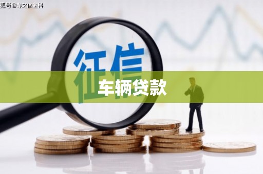桃城车辆贷款
