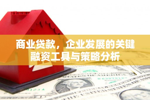 金阳商业贷款，企业发展的关键融资工具与策略分析