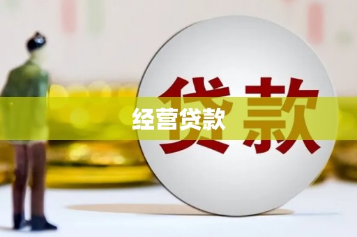 东坡经营贷款