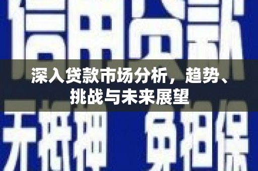 宁化深入贷款市场分析，趋势、挑战与未来展望
