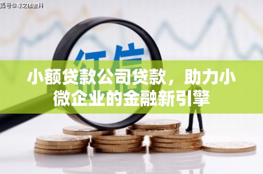 九寨沟小额贷款公司贷款，助力小微企业的金融新引擎