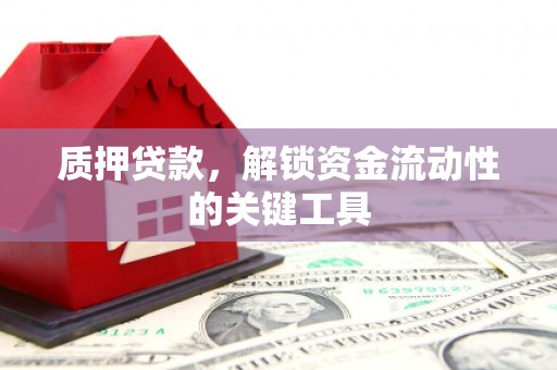 富民质押贷款，解锁资金流动性的关键工具
