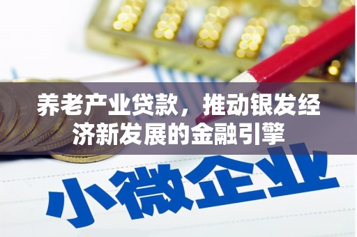 黄陂养老产业贷款，推动银发经济新发展的金融引擎