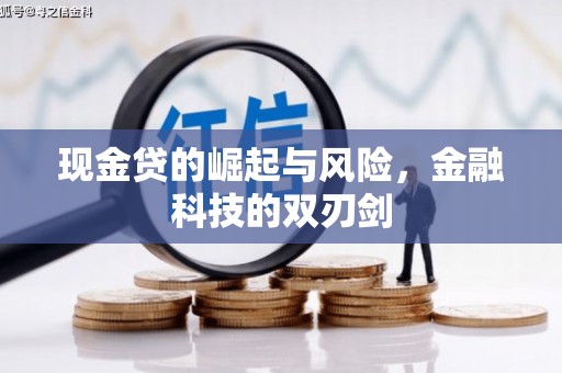金寨现金贷的崛起与风险，金融科技的双刃剑
