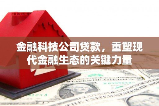 名间金融科技公司贷款，重塑现代金融生态的关键力量