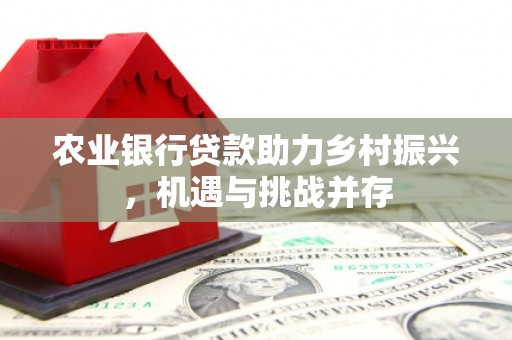 晋宁农业银行贷款助力乡村振兴，机遇与挑战并存