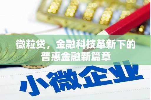 新乡微粒贷，金融科技革新下的普惠金融新篇章